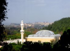 Mosqu__e_Rome_3.jpg