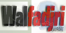 walfadjri.jpg